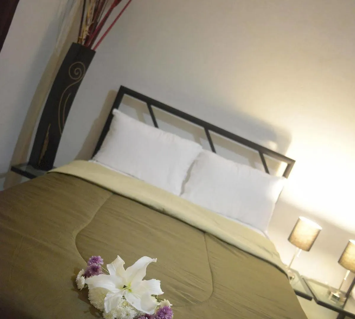 Hotel Plaza Providencia Puerto Vallarta Mexico