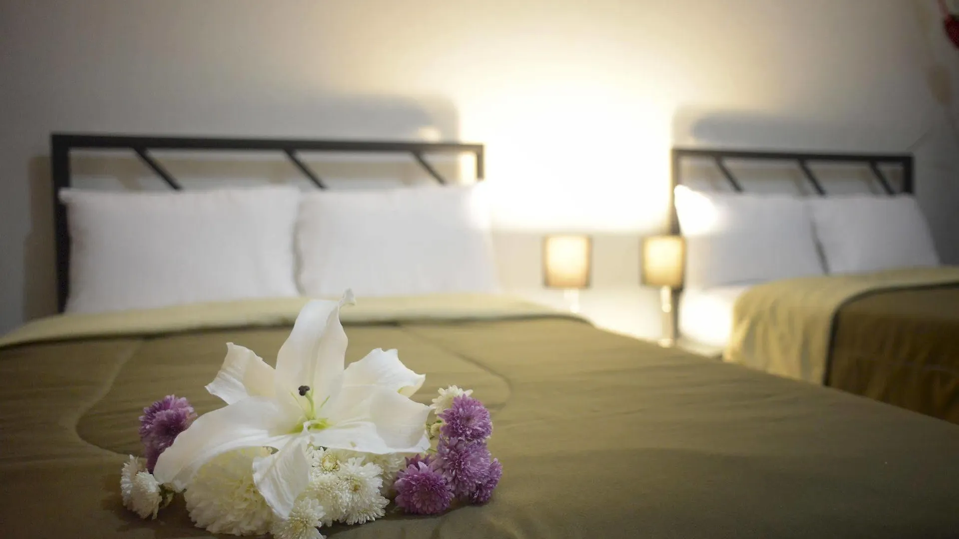 Hotel Plaza Providencia Puerto Vallarta  Ixtapa (Puerto Vallarta)
