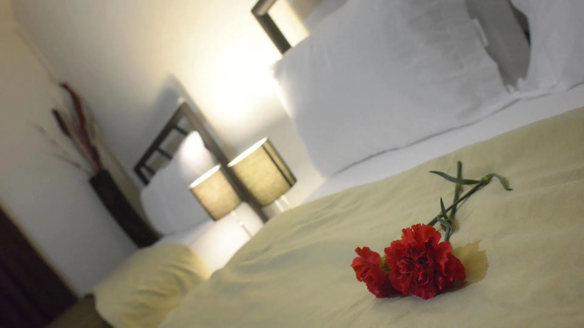 Hotel Plaza Providencia Puerto Vallarta