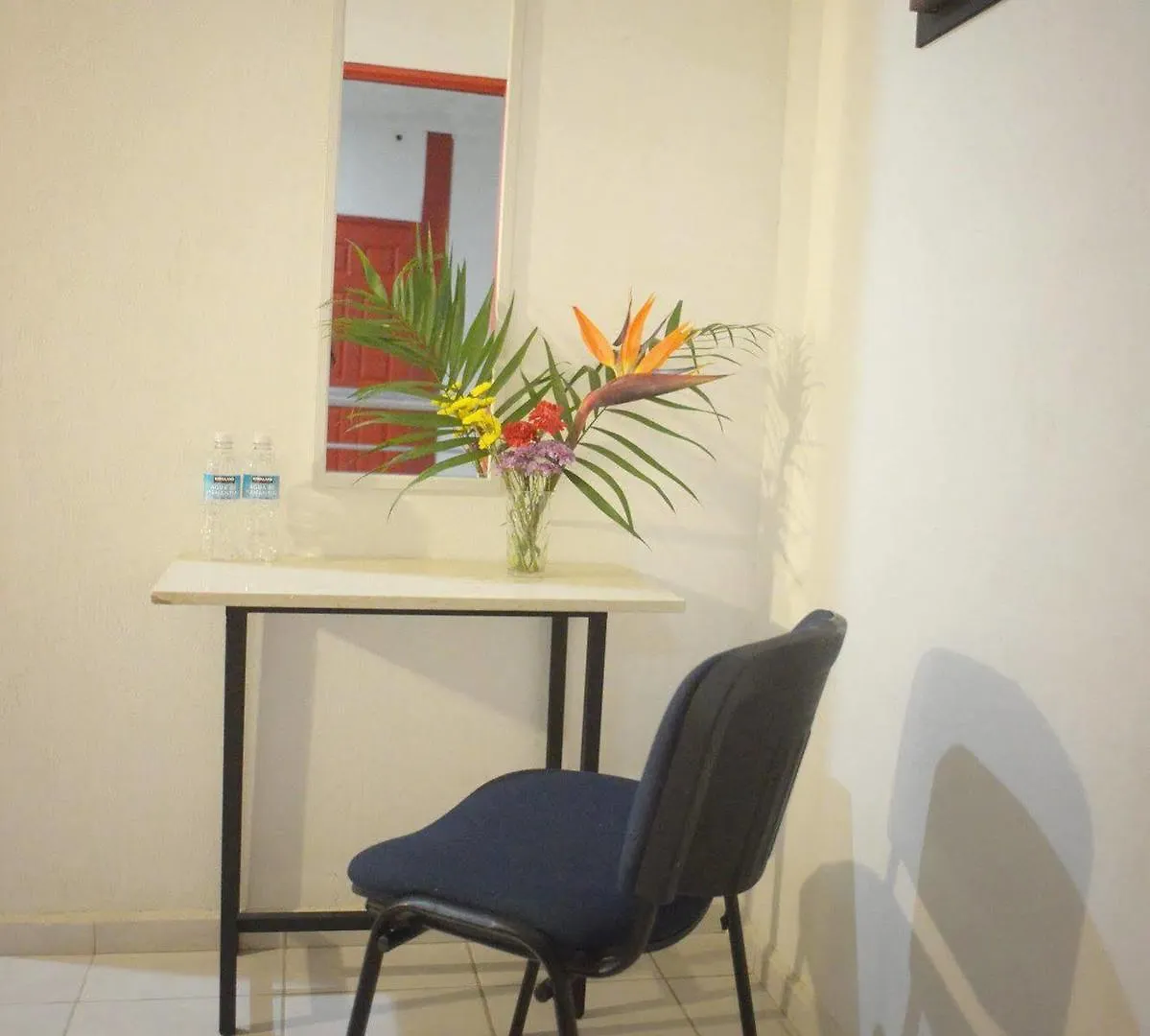 Hotel Plaza Providencia Puerto Vallarta  Ixtapa (Puerto Vallarta)